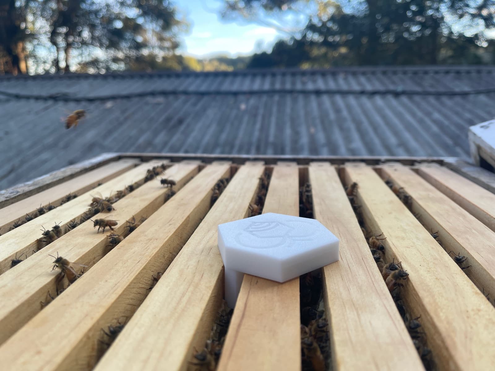 BeeMate Sense β the internal hive sensor that measures temperature, humidity and sound